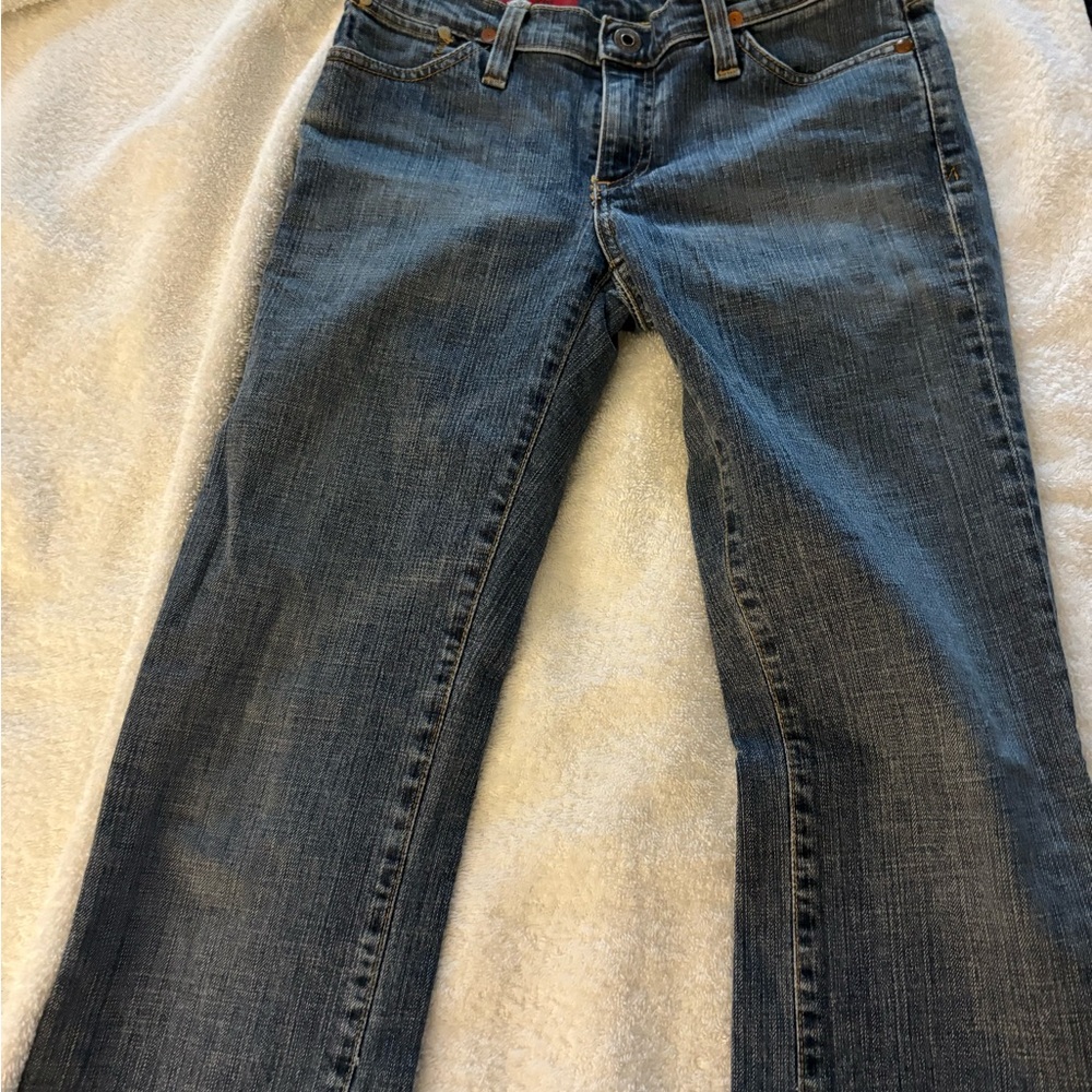 AG Adriano Goldschmied Straight Leg Blue Jeans
